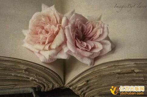 评职称需要教材主编或者专著一部