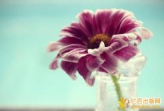 小学语文统编教材出版多少钱