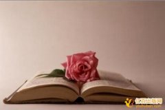 教材申报副主编流程是什么