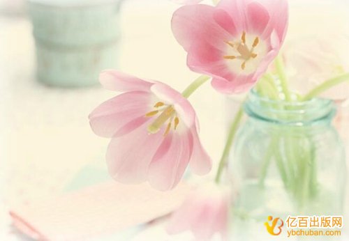 农业专利申请流程及材料
