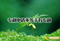 专利申请不等于有专利