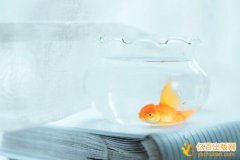 参编8万字可认定为独著吗