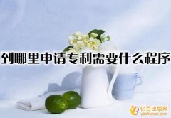 到哪里申请专利需要什么程序