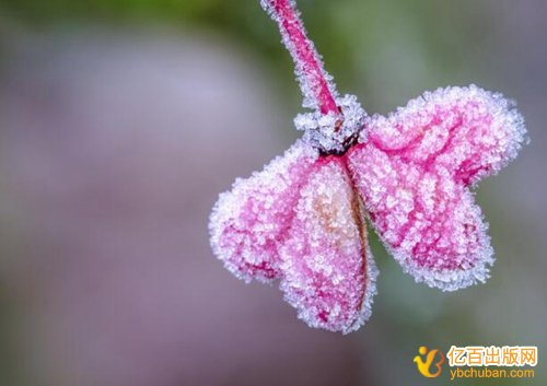 广东省正高级农艺师评审专著要求