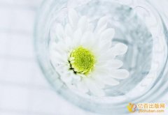 丛书号出版一本教材多少钱