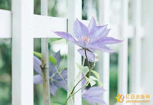 高校教师的专著适合投稿哪些出版社