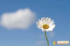 评职称专利可以代替论文么
