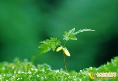 香港出版社有哪些特点