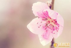 厦门大学出版社人文社会科学类书稿投稿指南