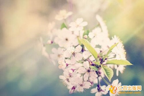 高等学校计算机专业教材挂名主编