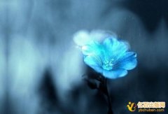 书号查询方法有哪些