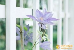 评职称出书怎么向出版社投稿