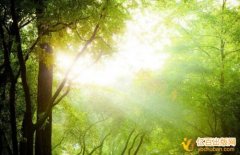 医生评正高级职称需要著作怎样出版