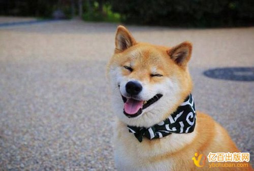 为什么教师都要评职称