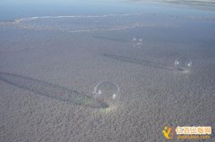 小学语文教材副主编要第几位才有用