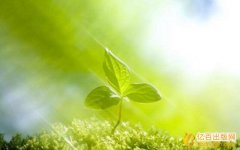 济南省学术专著出版流程及费用