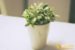 湖北省学术著作出版基金