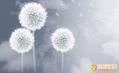 出版书籍查询的流程是什么