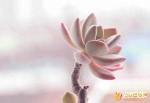 出版诗集如何计算出版费用