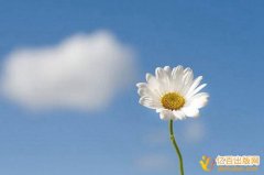 贵州省小学数学专著主编可以有几个
