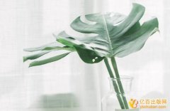 山东高校学术著作出版基金有多少