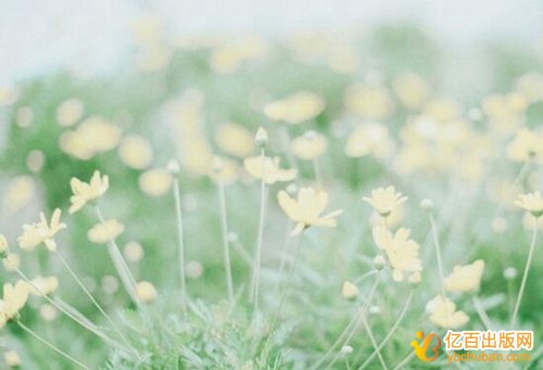 出一本20万字的自传书需要多少钱