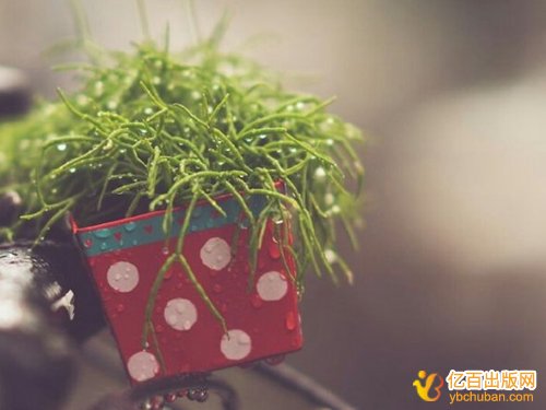 全国高职高专财会专业规划教材征集主编