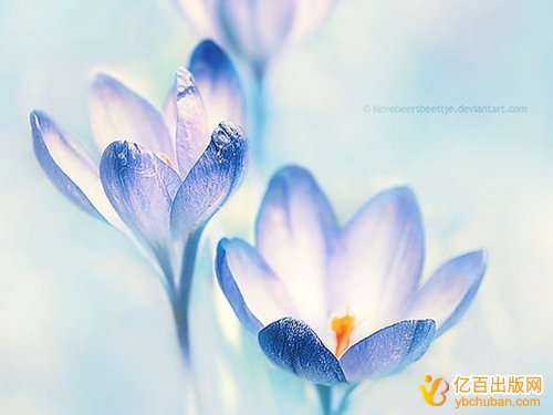 企业出书的费用花在哪里