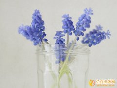 教师怎么出版教育类专著