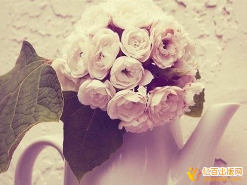 2019年教材参编有哪些资源