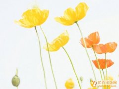 出版教辅教材有什么要求