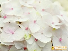 代理公司出版专著需要几道手续