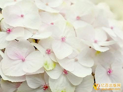 代理公司出版专著需要几道手续