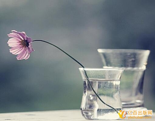 个人出书的大概价格多少钱