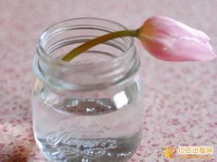 教材署名5万字副主编多少钱