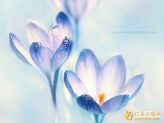教材评职称管用吗
