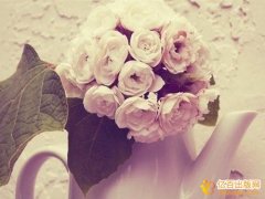 部编和统编教材有什么区别