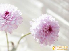 学术著作复合出版是什么意思