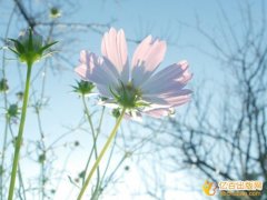 著作副主编评职称需要哪些材料