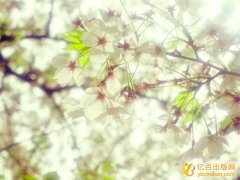 教材自费出版必须用书号吗