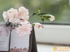 教材自费出版申请那类书号更容易批下来