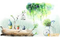 主编算不算作者