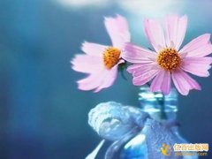出版社出书的单书书号价格多少钱