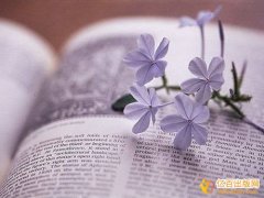 自费出书常见骗局及预防方法