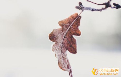 山东软著评职称能加分吗