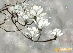 一本书的编委评职称有什么帮助