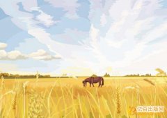 教师自费出书对评职称有哪些作用