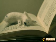 老师完成的发明专利归本人还是学校
