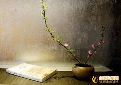 正教授职称评审没有独著可以用合著吗
