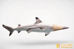 转让的实用新型专利评职称能用吗